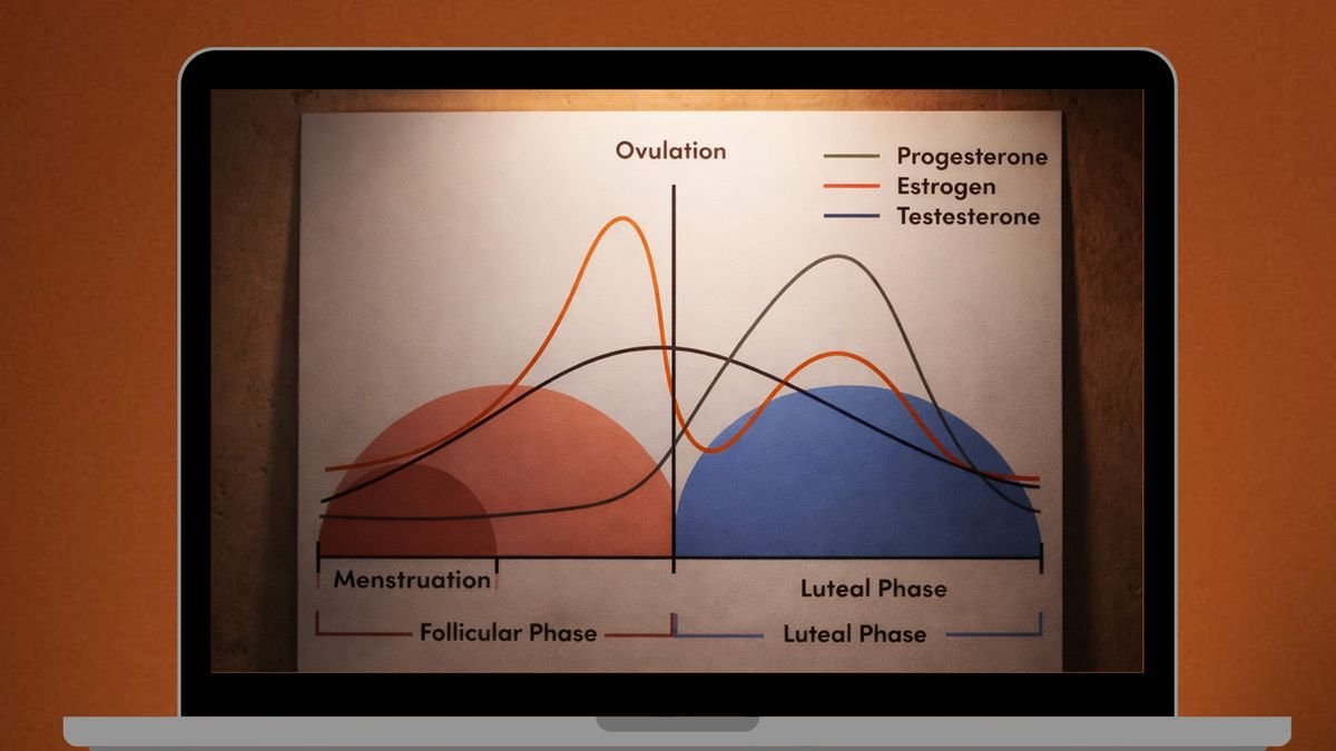 The cycle syncing trap — The Sync Way