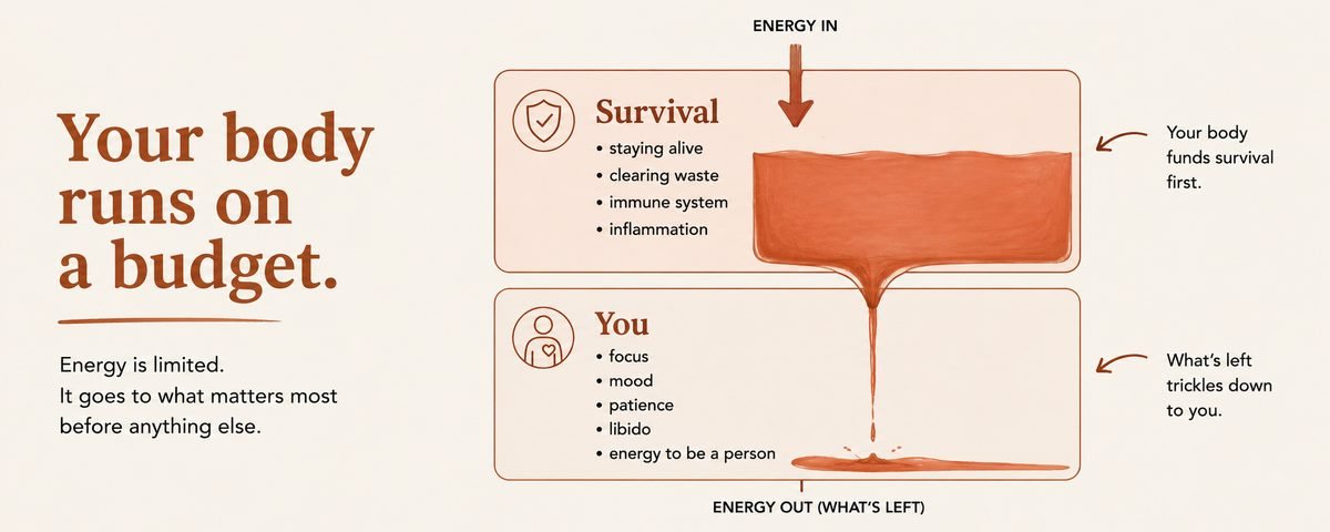 Survival gets funded before you do — The Sync Way